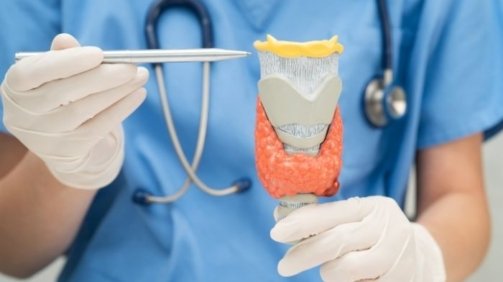 From Diabetes to PCOS and Thyroid