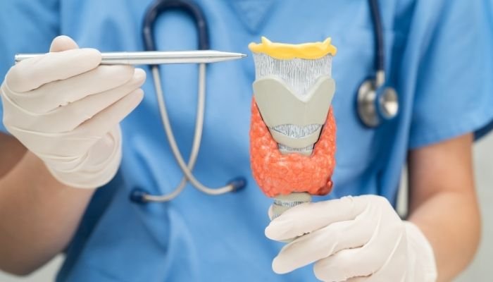 Home 28 From Diabetes to PCOS and Thyroid